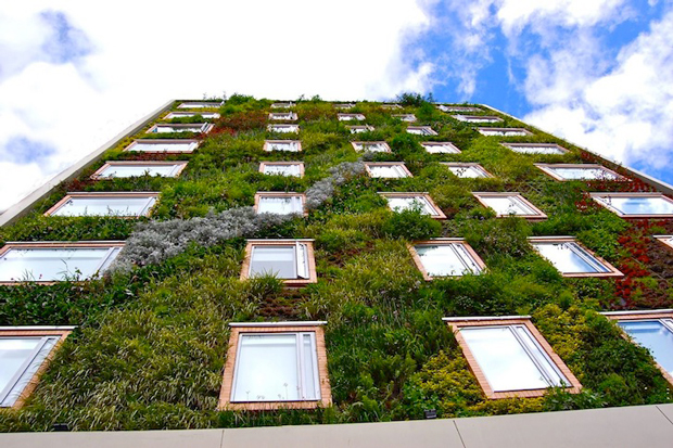 Jardim-vertical-reveste-prédio-com-mais-de-25-mil-plantas-Imagem-Inhabitat